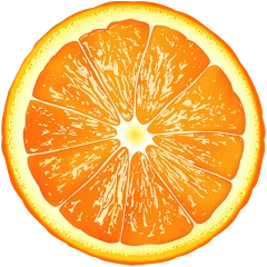 The Orange App